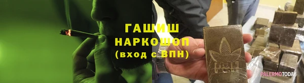 прущие грибы Вязники